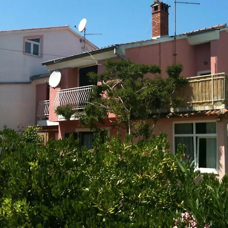 Olive Tree Rovinj