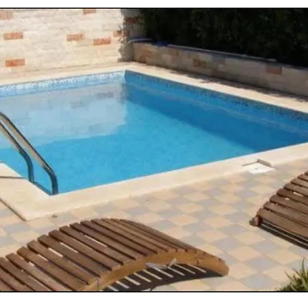 Olive Tree Apartment